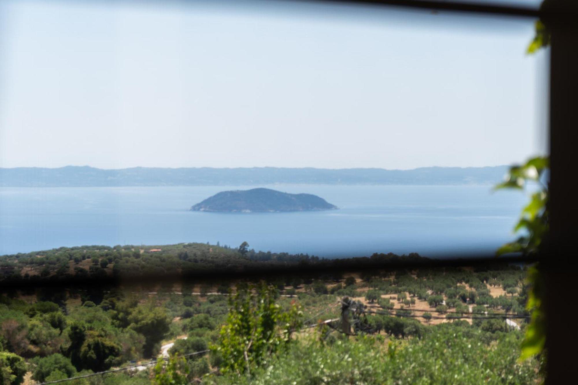 Oreiades Guesthouse Parthenónasz Kültér fotó